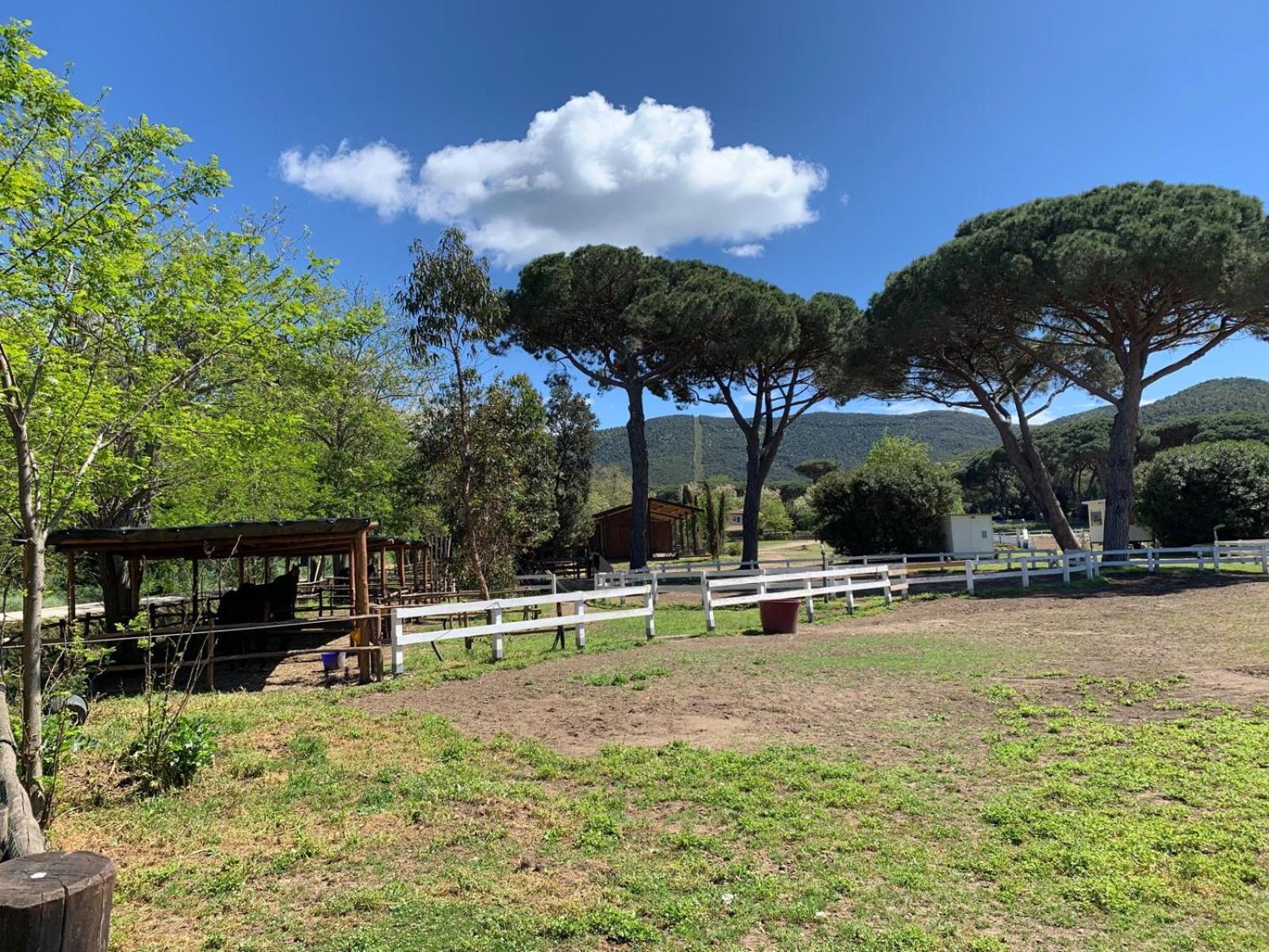 Apartamento La Casa Delle Stelle Tirli Exterior foto