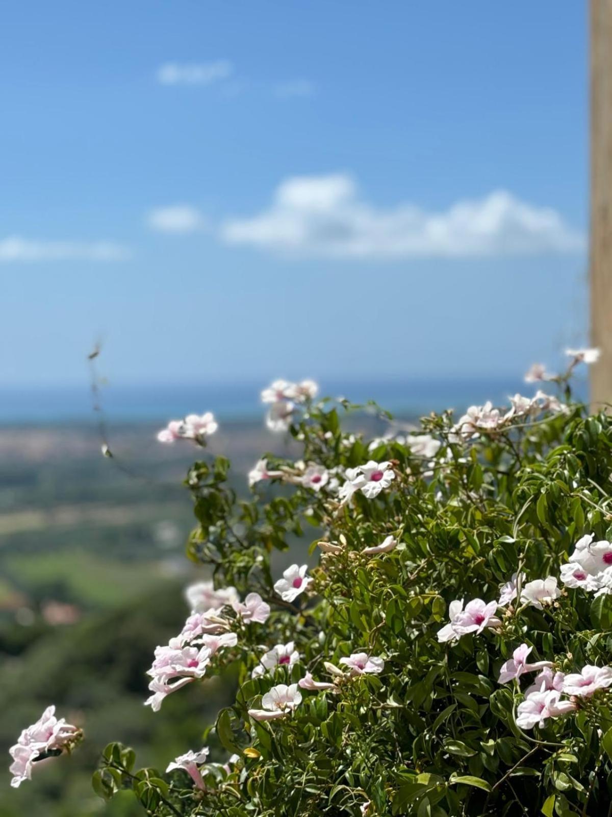 Apartamento La Casa Delle Stelle Tirli Exterior foto